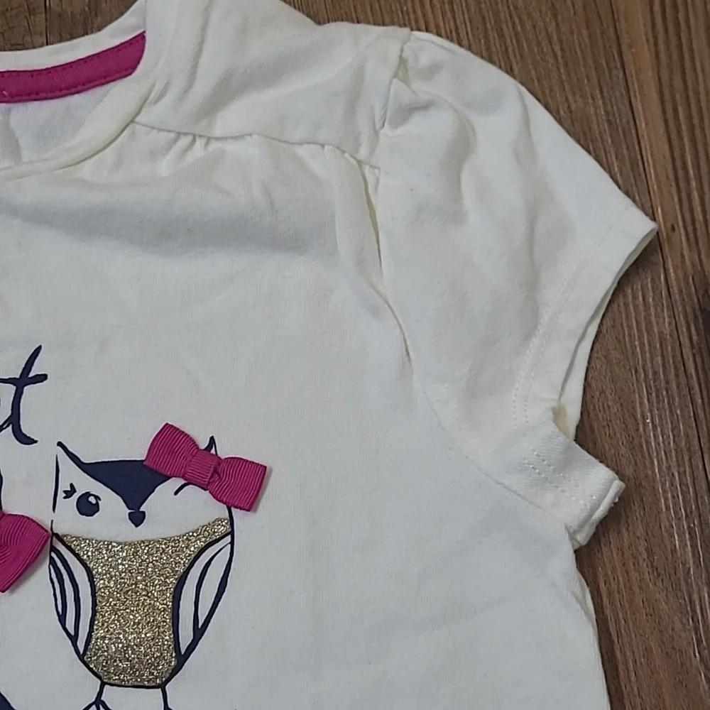 Gymboree Cream T-Shirt with Owl Design used exelente condition. zise 10 for girl